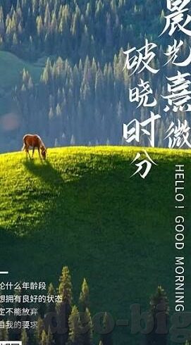 少年阿宾麻豆视频-少年成长的光影剪影——阿宾在麻豆的视频旅程